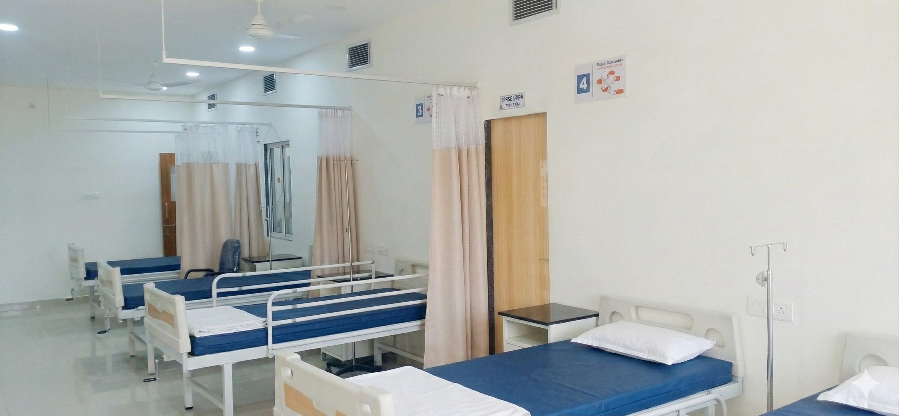 Bluebirds Hospital